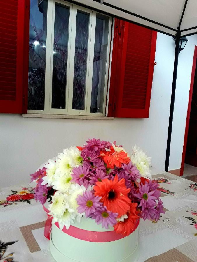 Garden House Airport Appartement Naples